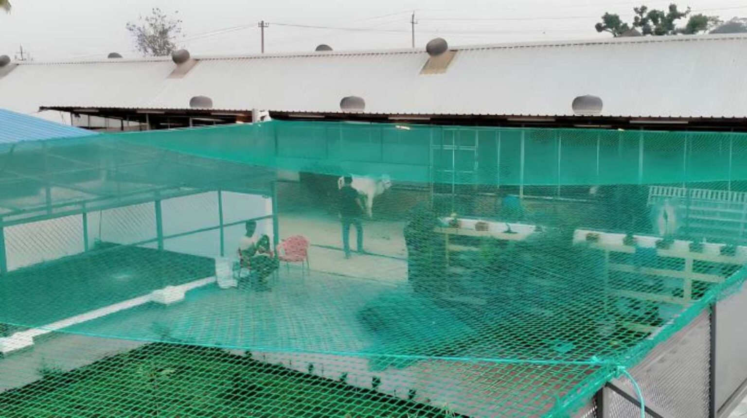 Open Area Safety Nets